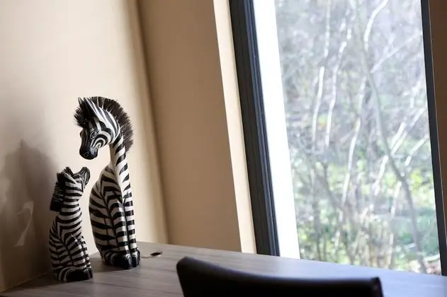 Comfort Tek Büyük Yataklı Oda (Pole Pole)