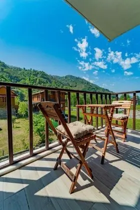 Apart Oda, Dere ve Orman Manzaralı, Balkonlu