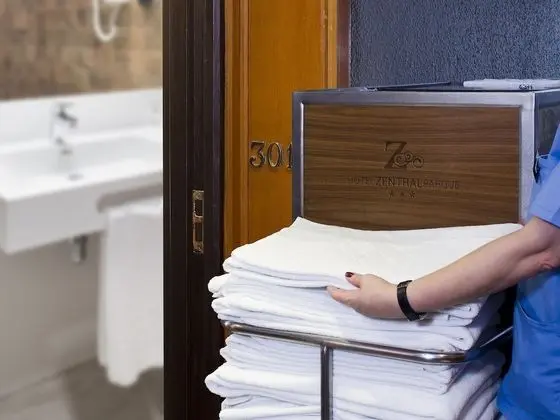 Superior Tek Büyük Yataklı Oda