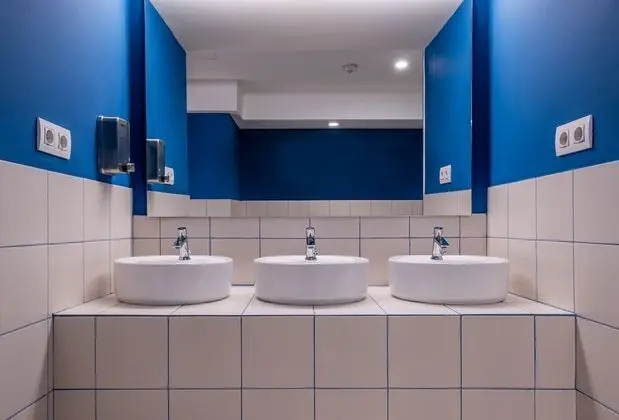 Ortak Ranzalı Oda, Karma Ranzalı Oda, Ortak Banyo (1 bed in 12 beds dormitory)