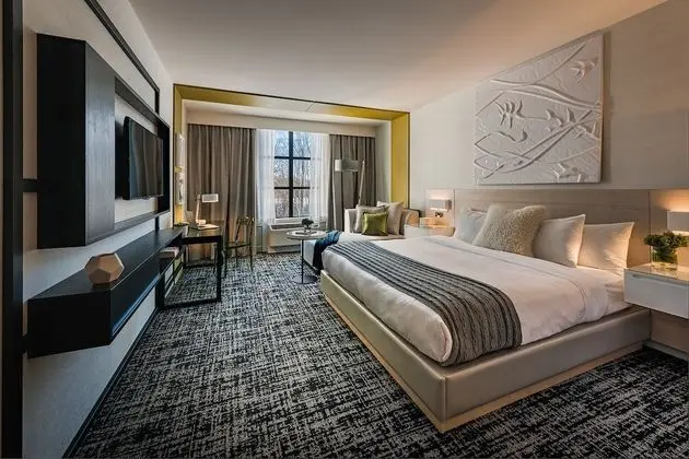 Süit, 1 En Büyük (King) Boy Yatak ve Çekyat (Executive Suite)