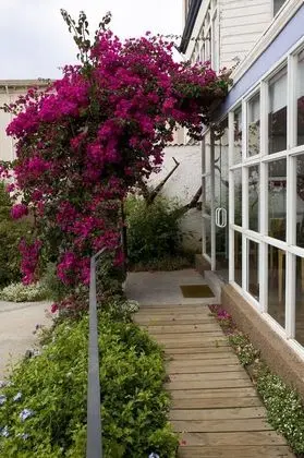 Tek Büyük Yataklı Oda (Colours)