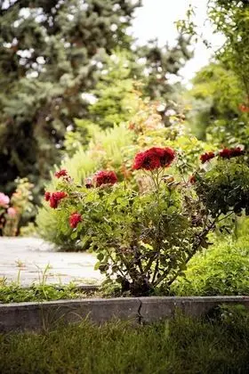 Villa, 3 Yatak Odası