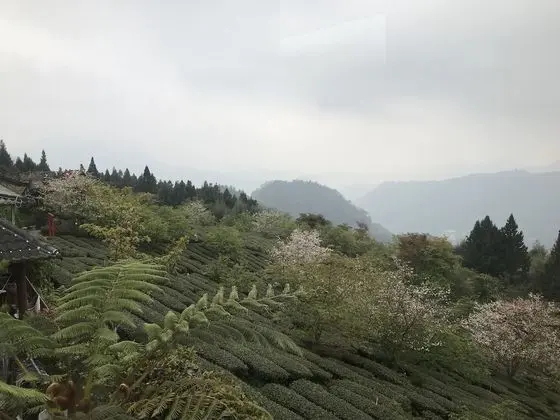 Tek Büyük Yataklı Oda, Dağ Manzaralı