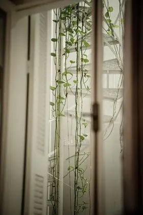 Standard Double Room (Interior Corridor)
