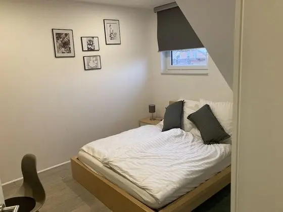 Comfort Tek Büyük Yataklı Oda (Nr. 3)