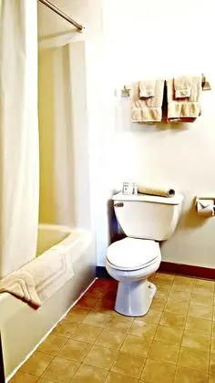 Deluxe Oda, 1 En Büyük (King) Boy Yatak, Sigara İçilmez, Sıcak Su Küveti
