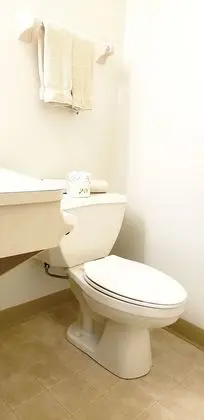 Premium Tek Büyük Yataklı Oda, 2 Büyük (Queen) Boy Yatak, Sigara İçilmez, Zemin Kat
