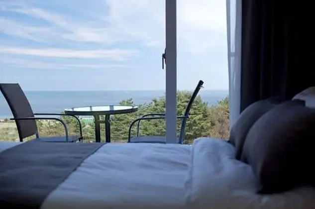 Standard Tek Büyük Yataklı Oda (Max 2 guests)