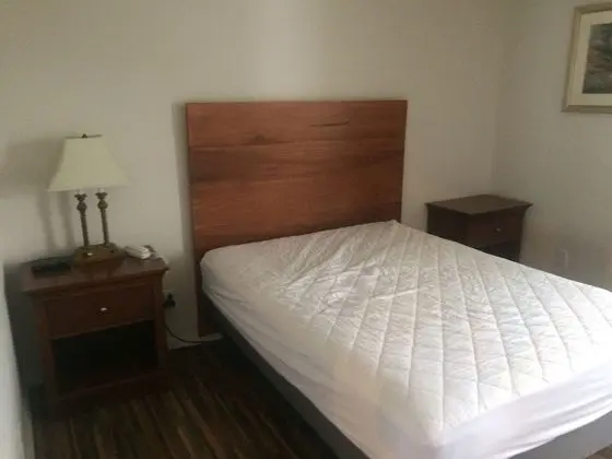 Bear Cabin