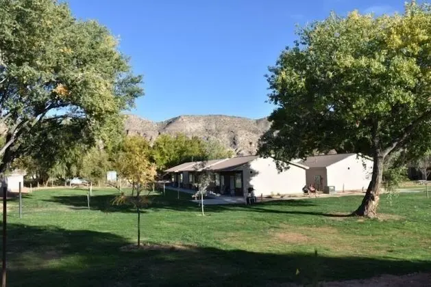 Stüdyo, Birden Çok Yatak