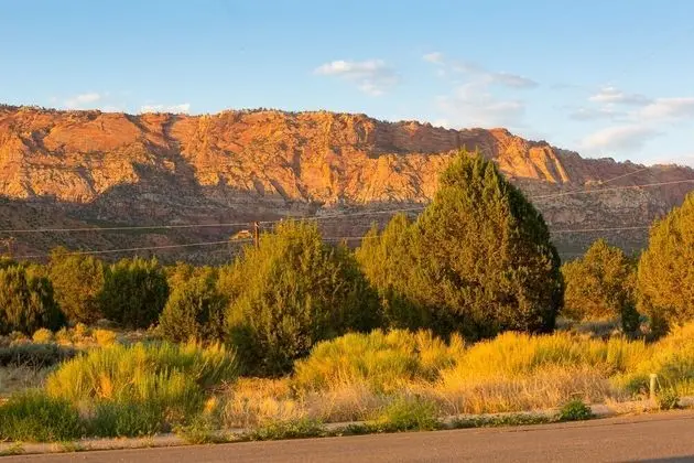 Comfort Üç Kişilik Oda