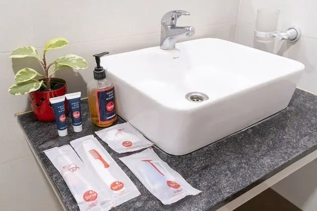 Deluxe Oda, 1 Büyük (Queen) Boy Yatak, Sigara İçilebilir, Şehir Manzaralı