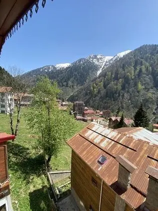 Standart - Dağ Manzaralı