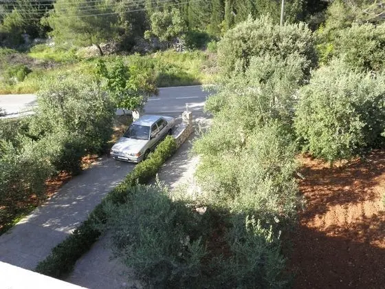 Apart Daire (Zlatko - 100m from the sea - A2(4))