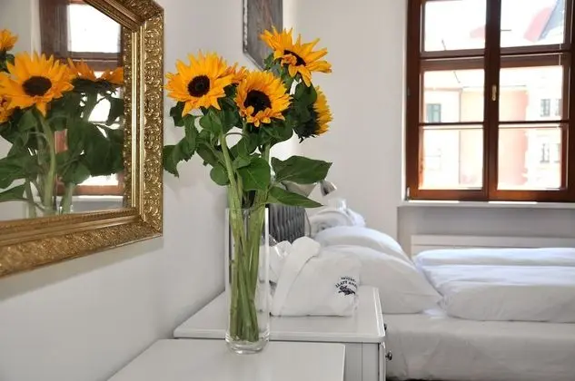 Luxury Süit, 1 Yatak Odası, Küçük Mutfak, Şehir Manzaralı