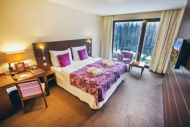 Superior Tek Büyük Yataklı Oda