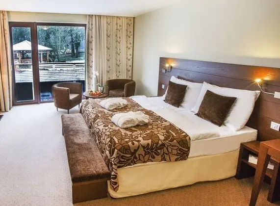 Superior Tek Büyük Yataklı Oda