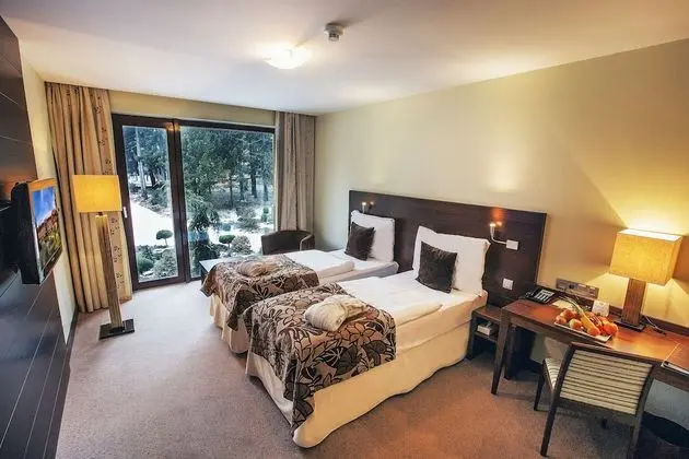 Superior Tek Büyük Yataklı Oda