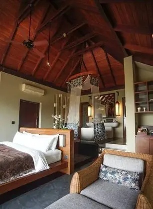Villa, 1 Yatak Odası, Kişiye Özel Havuzlu (Waterfall)