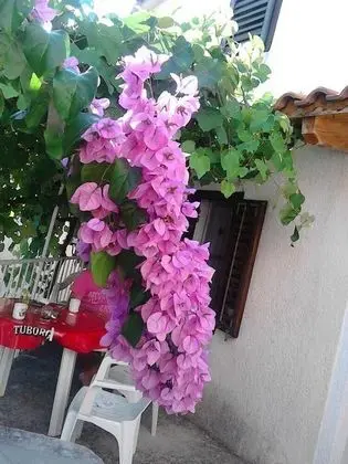 Ev (Two Bedroom Holiday Home with Terrace)