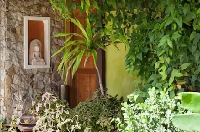 Premium Bungalov