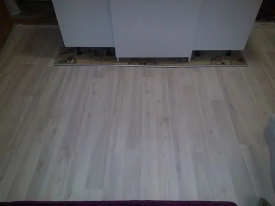 Basic Stüdyo