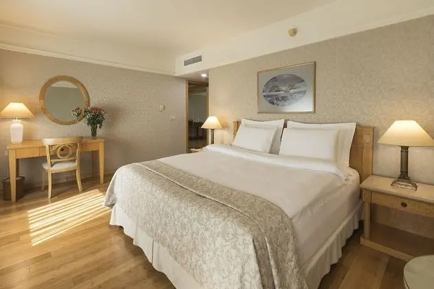 Deluxe Süit, 1 Büyük (Queen) Boy Yatak ve Çekyat (1 Queen  Bed )
