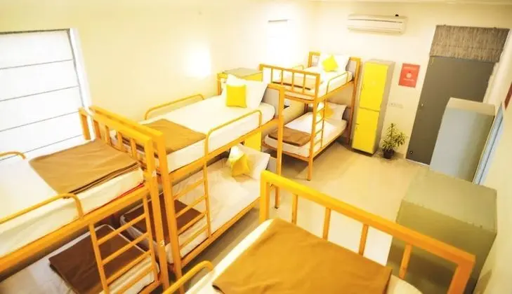Superior 8 Bed Mixed Dorm