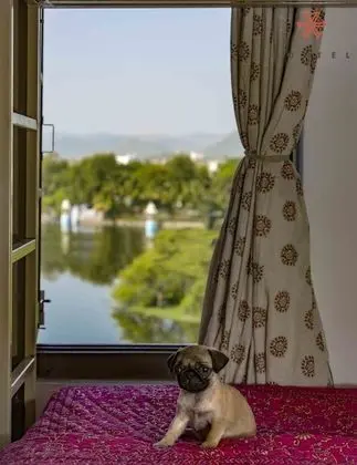 Deluxe Ortak Ranzalı Oda, Karma Ranzalı Oda