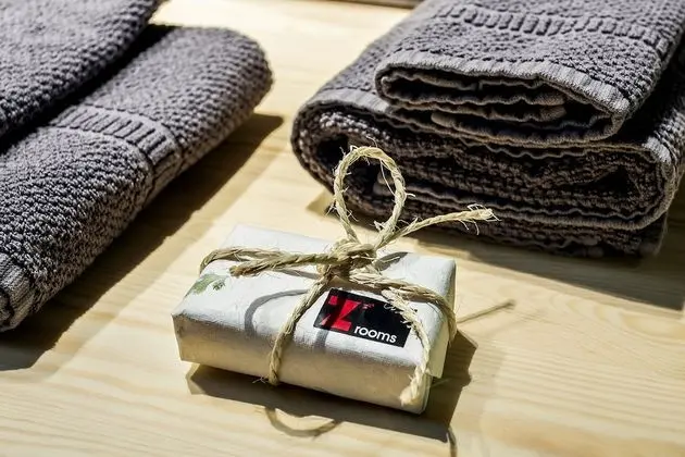 Superior Apart Daire, Banyolu/Duşlu (The Appartment Z1 Spa Exp)