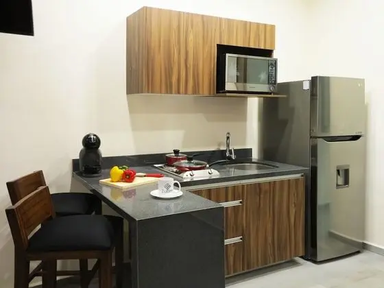 Standard Stüdyo, Küçük Mutfak, Şehir Manzaralı (101 B)
