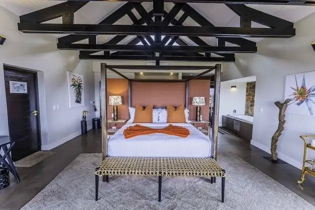 Honeymoon Oda