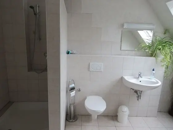 Deluxe Tek Büyük Yataklı Oda, Banyolu/Duşlu