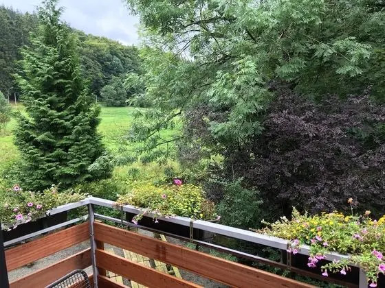 Tek Büyük Yataklı Oda, Balkon