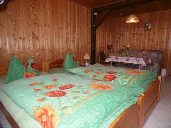 Comfort İki Ayrı Yataklı Oda, 1 Yatak Odası, Bahçe Manzaralı (Oybin 3*)