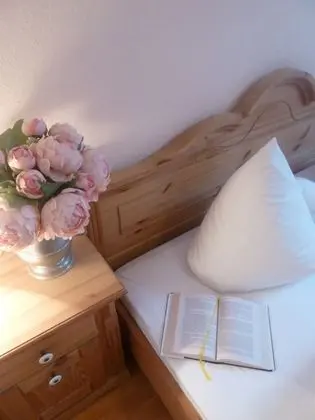 Classic Apart Daire, 1 Yatak Odası, Dağ Manzaralı (Hochleger)