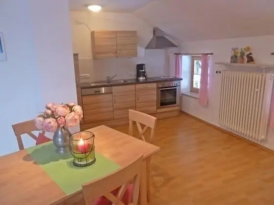 Classic Apart Daire, 1 Yatak Odası, Dağ Manzaralı (Hochleger)