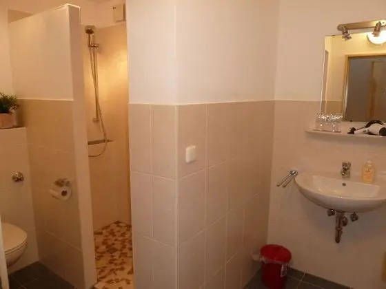 Classic Apart Daire, 1 Yatak Odası, Dağ Manzaralı (Hochleger)