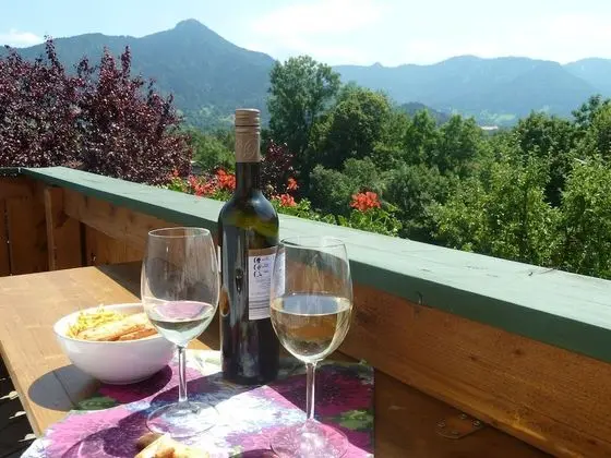 Classic Apart Daire, 1 Yatak Odası, Dağ Manzaralı (Hochleger)