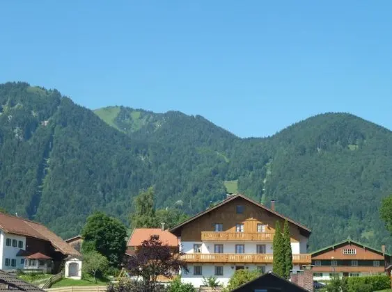 Classic Apart Daire, 1 Yatak Odası, Dağ Manzaralı (Niederleger)