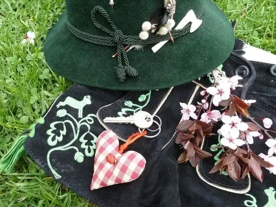 Classic Apart Daire, 1 Yatak Odası, Dağ Manzaralı (Niederleger)