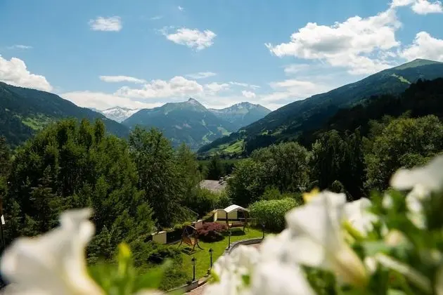Tek Büyük Yataklı Oda, Balkon, Dağ Manzaralı (Gamskarkogel)