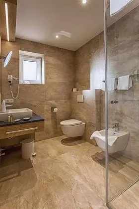 Tek Büyük Yataklı Oda, Balkon, Dağ Manzaralı (Gamskarkogel)