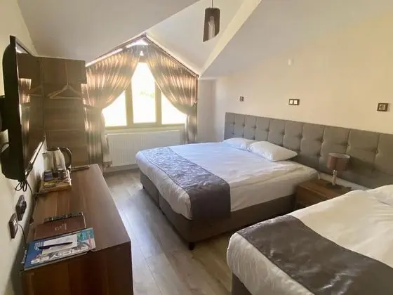 Roof Standard Room