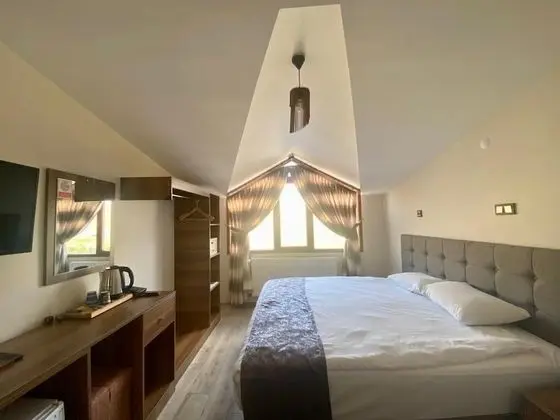 Roof Standard Room