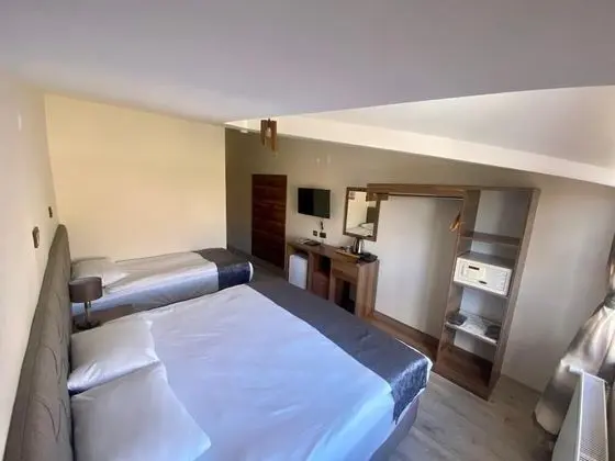 Roof Standard Room