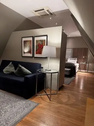 Deluxe Tek Büyük Yataklı Oda, Sigara İçilmez