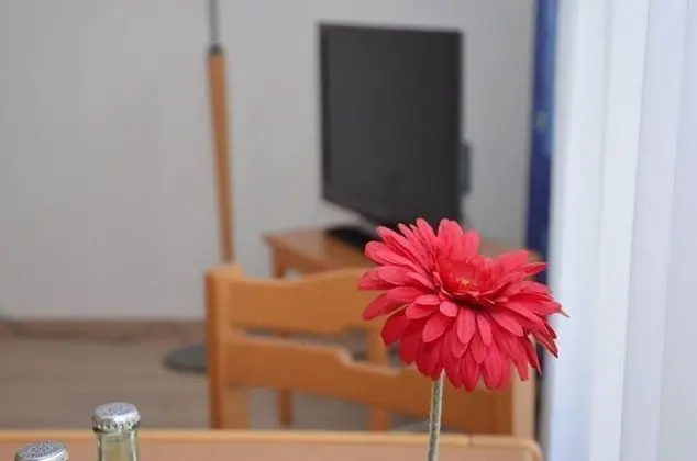 Tek Kişilik Oda, 1 Tek Kişilik Yatak, Sigara İçilmez