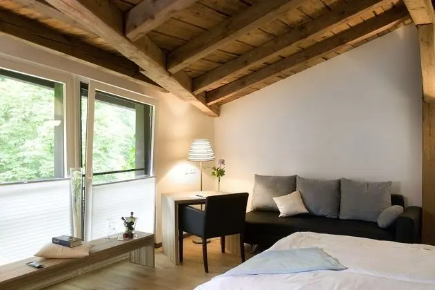 Comfort Tek Büyük Yataklı Oda (Waldblick)